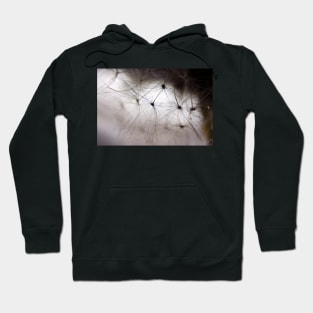 Dandelion Whisper Hoodie